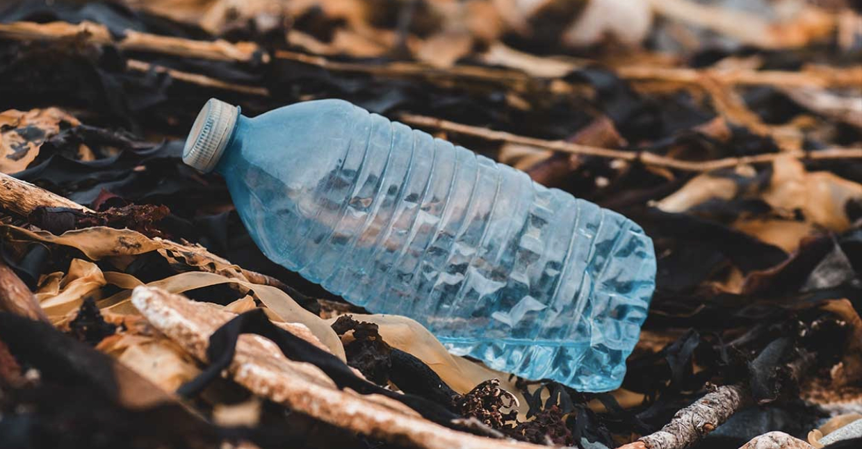 ScreenShot2022 02 08at10.18.29AM-đệm va tàu