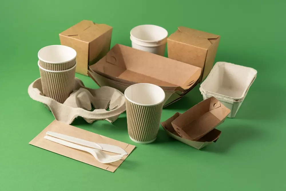 Sustainable Takeaway Packaging-đệm va tàu
